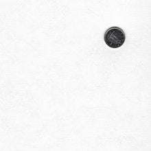 Load image into Gallery viewer, Mook Fabrics - White Tone on Tone Rhapsody