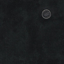 Charger l'image dans la galerie, Barnyard Christmas par Deborah Edwards pour Northcott - Background Ebony Texture