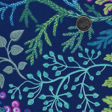 Load image into Gallery viewer, Water's Edge by Brett Lewis for Northcott - Background Navy Water's Edge