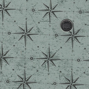 Great Journey by Bernadett Urbanovics for Figo Fabrics - Background Green Compass