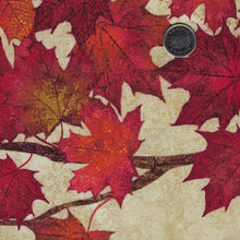 Load image into Gallery viewer, Oh Canada - Stonehenge 13th Anniversary Edition by Northcott - Background Beige Leaves Ombre