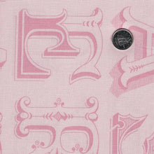 Load image into Gallery viewer, Egg Hunt by J. Wecker Frisch for Riley Blake Designs - Background Pink Happy Easter Blender