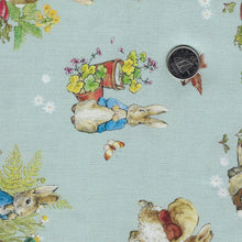 Load image into Gallery viewer, Peter Rabbit and Benjamin Bunny by Beatrix Potter for Riley Blake Designs - Background Blue Main