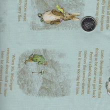 Load image into Gallery viewer, Peter Rabbit and Benjamin Bunny by Beatrix Potter for Riley Blake Designs - Background Blue Story Time