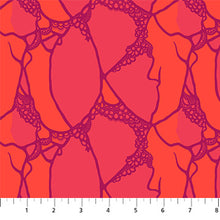 Load image into Gallery viewer, Wild Abandon by Heather Bailey for Figo Fabrics - Background Flame Entangled