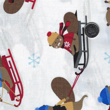 Load image into Gallery viewer, Under the Northern Lights by Andie Hanna for Robert Kaufman - Background White Sleigh Ride