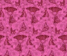 Load image into Gallery viewer, Indelible Ink by Anna Maria for Northcott - Background Candy Winging It
