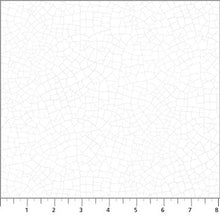 Load image into Gallery viewer, Dragonfly Dreams by Deborah Edwards for Northcott - White Tone on Tone Crackle Texture