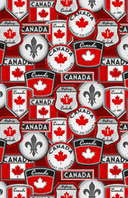 Load image into Gallery viewer, Canadianisms by Wilmington Prints - Background Red Patches
