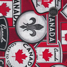 Load image into Gallery viewer, Canadianisms by Wilmington Prints - Background Red Patches
