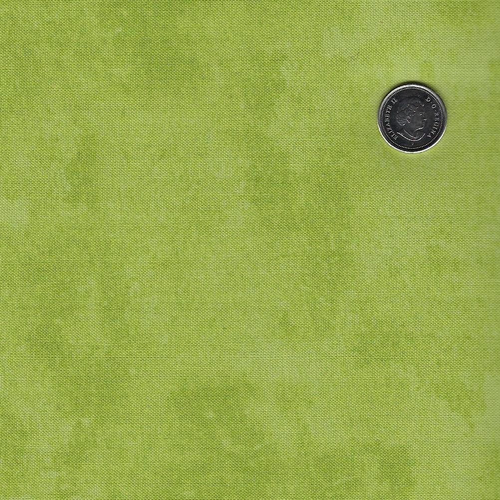 Toscana by Deborah Edwards for Northcott - Sagebrush Tone on Tone Texture