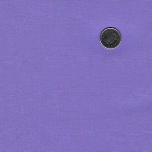 Water's Edge by Brett Lewis for Northcott - Colorworks Premium Solid Purplewinkle