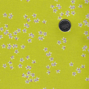 Margo par Adriana Picker pour Figo Fabrics - Background Citrus Ditsy Floral