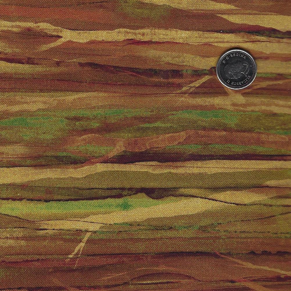 Cedarcrest Fall par Deborah Edwards and Melanie Samra pour Northcott - Background Rust Twig Texture