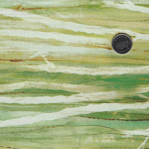 Cedarcrest Fall par Deborah Edwards and Melanie Samra pour Northcott - Background Olive Twig Texture