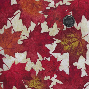 Oh Canada - Stonehenge 13th Anniversary Edition by Northcott - Background Beige Large Leaves