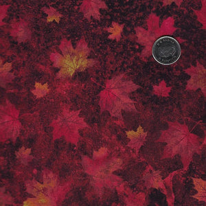 Oh Canada - Stonehenge 11th Anniversary Edition par Northcott - Background Black Large Packed Poppy