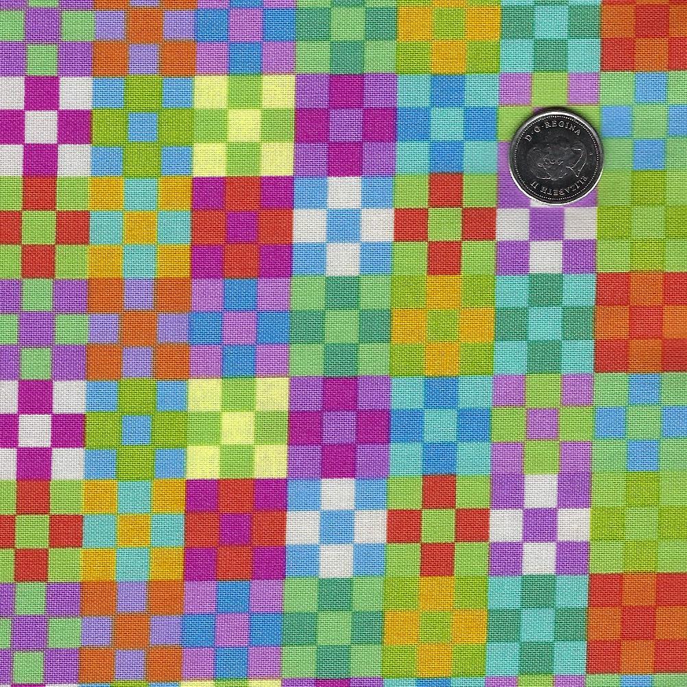 Piecework by Anna Maria for Northcott - Elementary Nine Patch