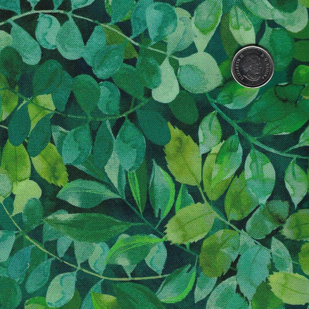 Luscious by Northcott - Background Green Packed Leaves