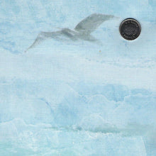 Load image into Gallery viewer, Smooth Sailing by Deborah Edwards for Northcott - Panel in Dark Blue
