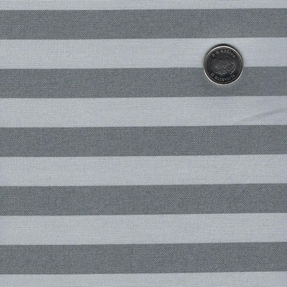 True Colors Graywork by Tula Pink for Free Spirit - Fog Tent Stripe