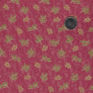 Heartstone par Lynn Wilder pour Marcus Fabrics - Background Pink Autumn Ridge