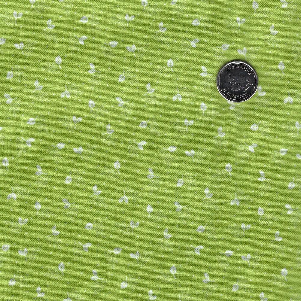 Laurel Ridge par Lynn Wilder pour Marcus Fabrics - Background Green Parchment