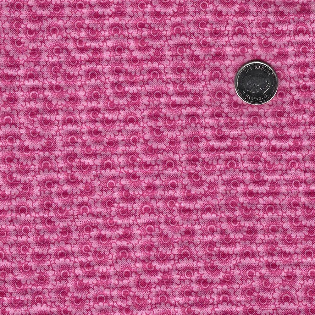 Laurel Ridge par Lynn Wilder pour Marcus Fabrics - Pink Tone on Tone Copper Trail