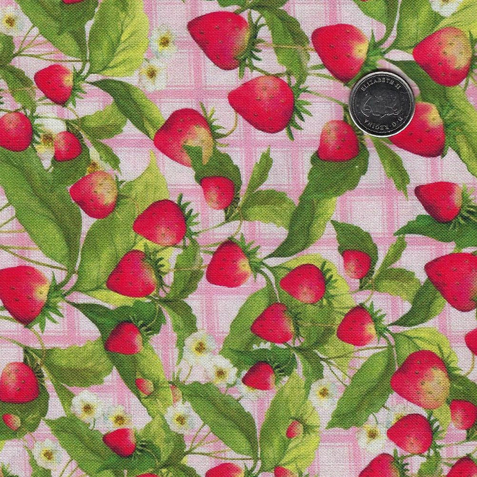 Patchwork Picnic by Susan Winget for White Owl Textiles – Mad Moody ...