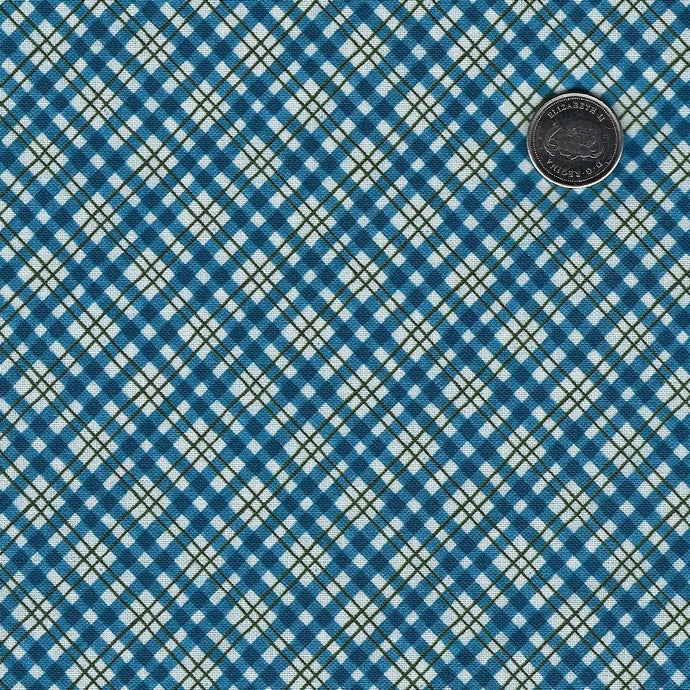 Patchwork Picnic by Susan Winget for White Owl Textiles – Mad Moody ...