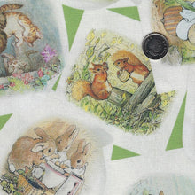 Load image into Gallery viewer, Peter Rabbit and Friends by Beatrix Potter for Riley Blake Designs - Background Green Pictures
