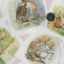 Load image into Gallery viewer, Peter Rabbit and Friends by Beatrix Potter for Riley Blake Designs - Background Pink Pictures
