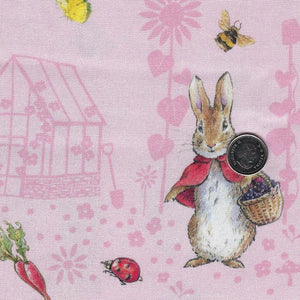 Peter Rabbit and Friends by Beatrix Potter for Rile Blake Designs - Border Print Background Pink