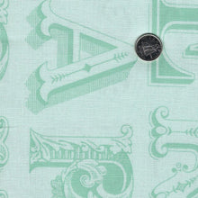 Load image into Gallery viewer, Egg Hunt by J. Wecker Frisch for Riley Blake Designs - Background Aqua Happy Easter Blender
