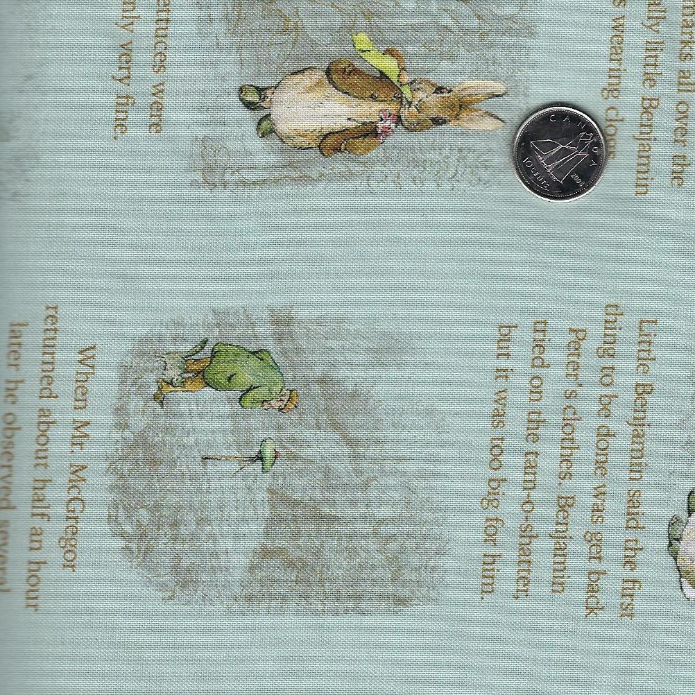 Peter Rabbit and Benjamin Bunny by Beatrix Potter for Riley Blake Desi ...