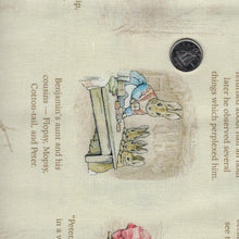 Charger l'image dans la galerie, Peter Rabbit and Benjamin Bunny par Beatrix Potter pour Riley Blake Designs - Background Cream Story Time

