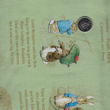 Charger l'image dans la galerie, Peter Rabbit and Benjamin Bunny par Beatrix Potter pour Riley Blake Designs - Background Green Story Time
