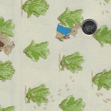 Load image into Gallery viewer, Peter Rabbit and Benjamin Bunny by Beatrix Potter for Riley Blake Designs - Background Cream Lettuce Patch
