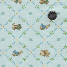 Load image into Gallery viewer, Peter Rabbit and Benjamin Bunny by Beatrix Potter for Riley Blake Designs - Background Blue Lattice
