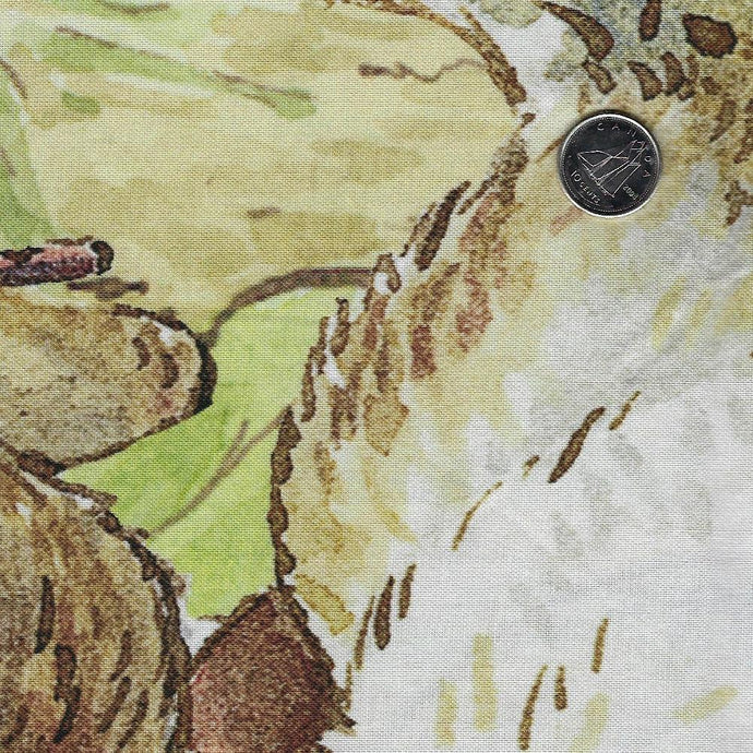 Peter Rabbit and Benjamin Bunny par Beatrix Potter pour Riley Blake De ...