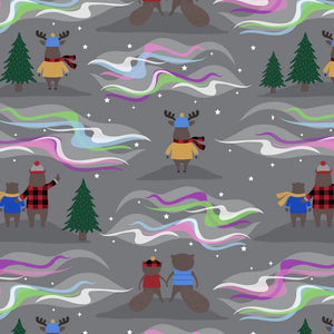 Under the Northern Lights by Andie Hanna for Robert Kaufman - Background Grizzly Aurora Borealis