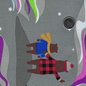 Under the Northern Lights par Andie Hanna pour Robert Kaufman - Background Grizzly Aurora Borealis