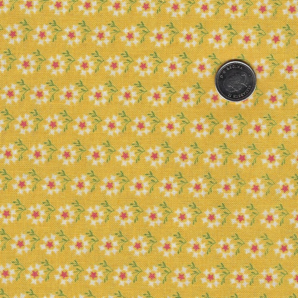 Future Heirlooms by EQP Textiles - Background Sweet Sunshine Dandelion