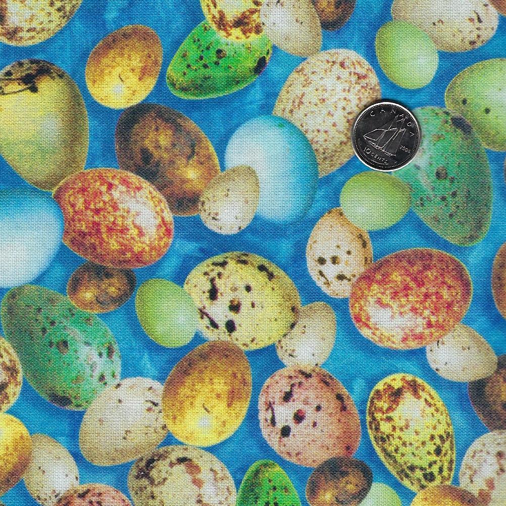Hummingbird Garden by QT Fabrics - Background Blue Eggs