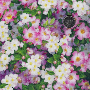 Hummingbird Garden par QT Fabrics - Packed Floral