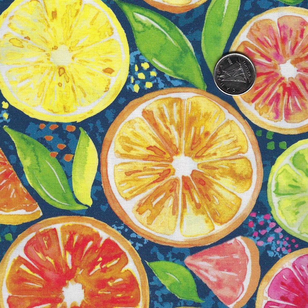 Sweet & Sour par Elena Fay pour Paintbrush Studio Fabrics - Background Blue Citrus Mix