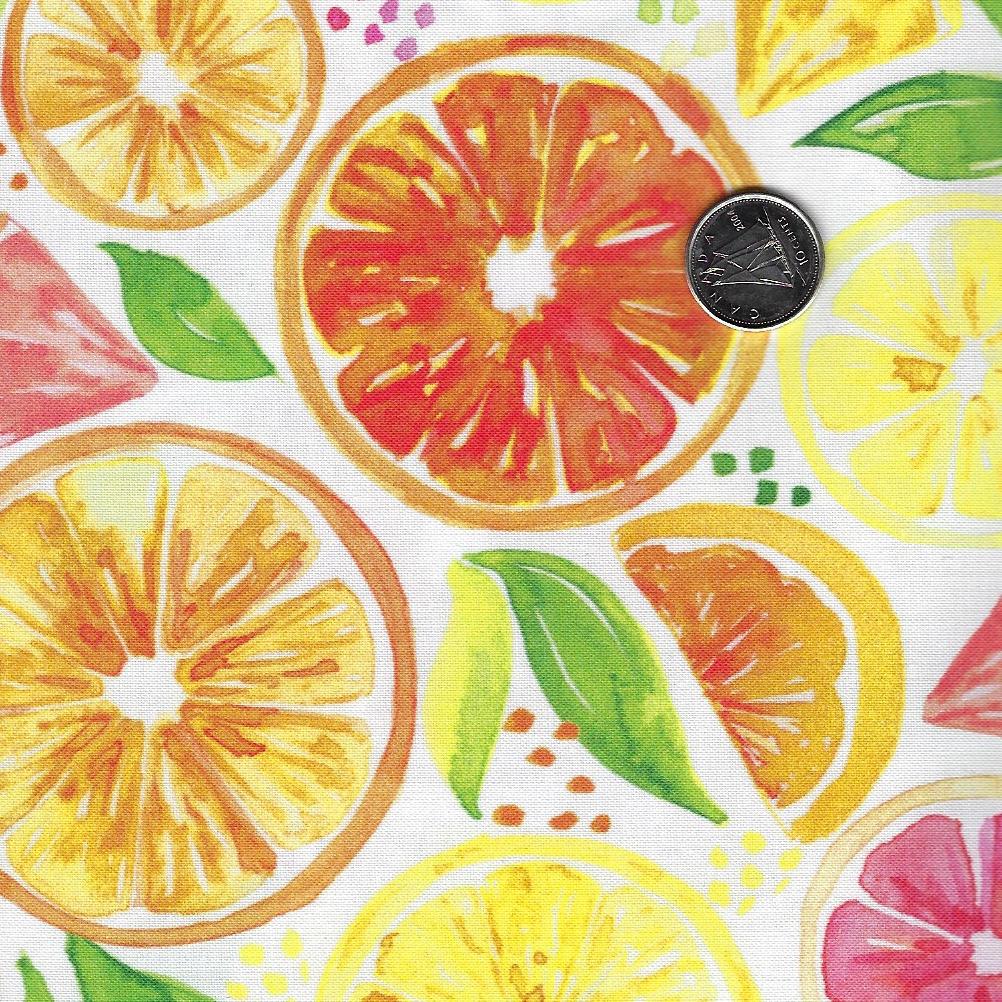 Sweet & Sour par Elena Fay pour Paintbrush Studio Fabrics - Background White Citrus Mix