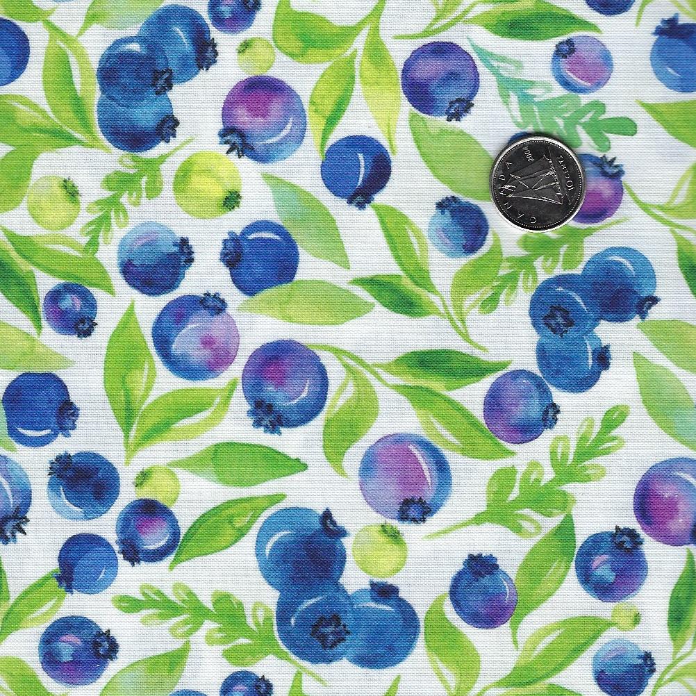 Sweet & Sour by Elena Fay for Paintbrush Studio Fabrics - Background White Blueberries