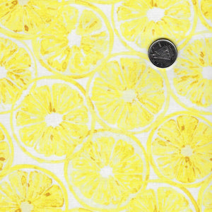 Sweet & Sour by Elena Fay for Paintbrush Studio Fabrics - Background White Lemon Slice
