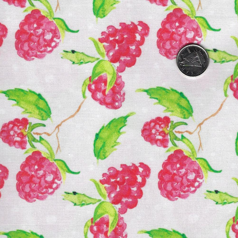 Sweet & Sour by Elena Fay for Paintbrush Studio Fabrics - Background White Raspberries
